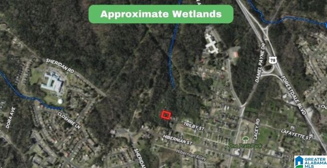 830 TRILBY STREET, Birmingham, AL 35214