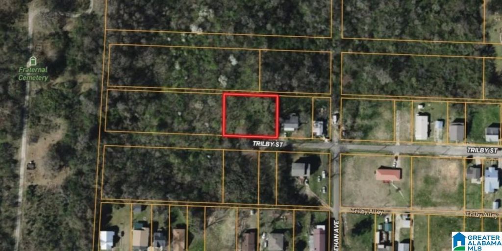 830 TRILBY STREET, Birmingham, AL 35214