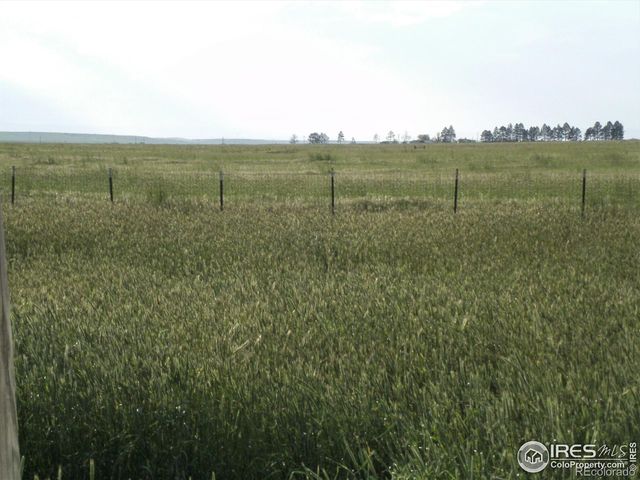 12905 County Road 108, Carr, CO 80612