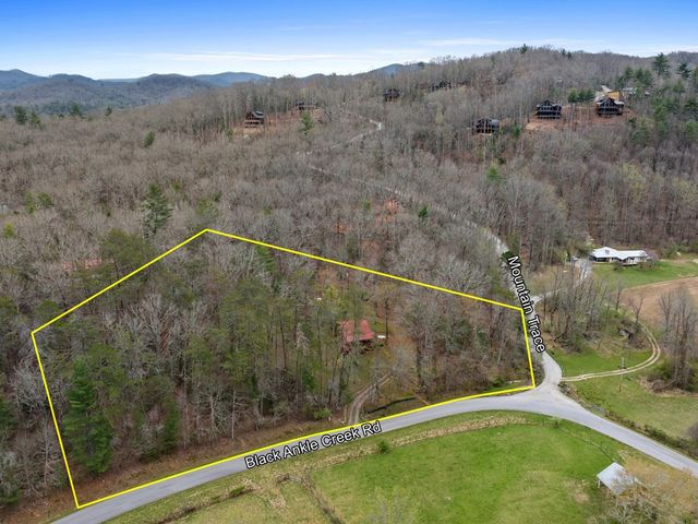 541 Black Ankle Creek, Cherry Log, GA 30522