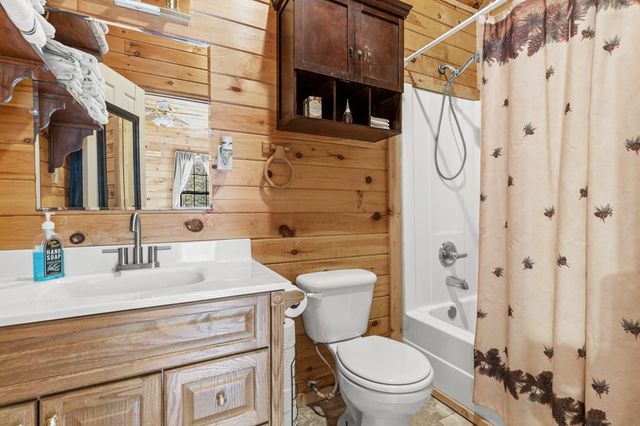 541 Black Ankle Creek, Cherry Log, GA 30522