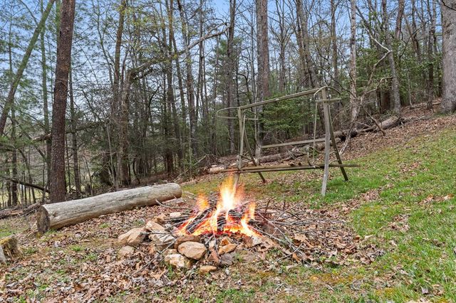 541 Black Ankle Creek, Cherry Log, GA 30522