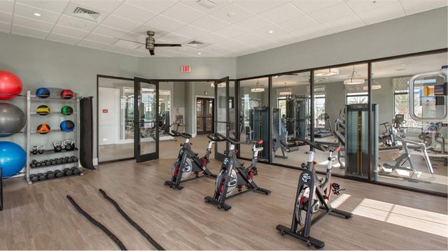 9007 STINGER DRIVE, Davenport, FL 33896