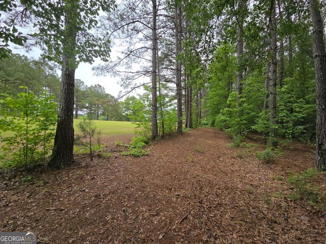 395 E Milner Road, Zebulon, GA 30295