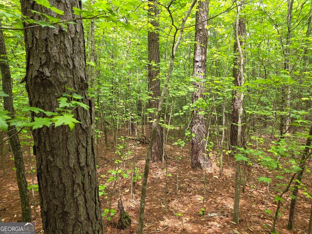 395 E Milner Road, Zebulon, GA 30295