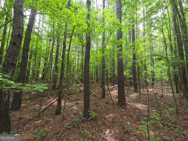 395 E Milner Road, Zebulon, GA 30295