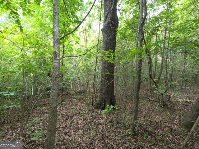 395 E Milner Road, Zebulon, GA 30295