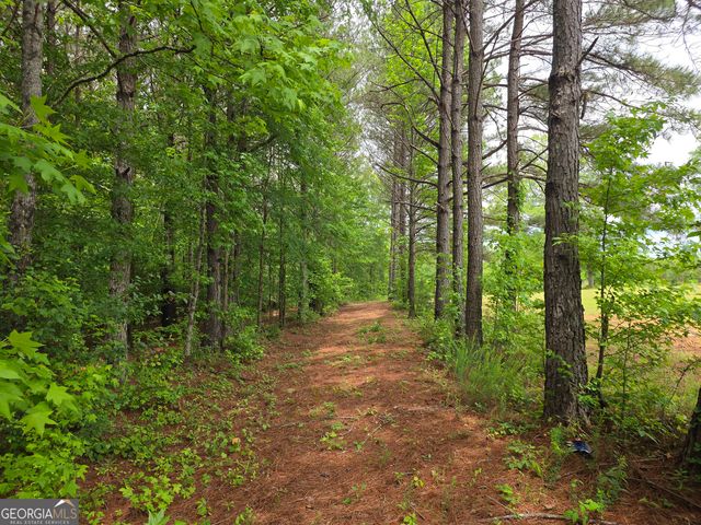 395 E Milner Road, Zebulon, GA 30295