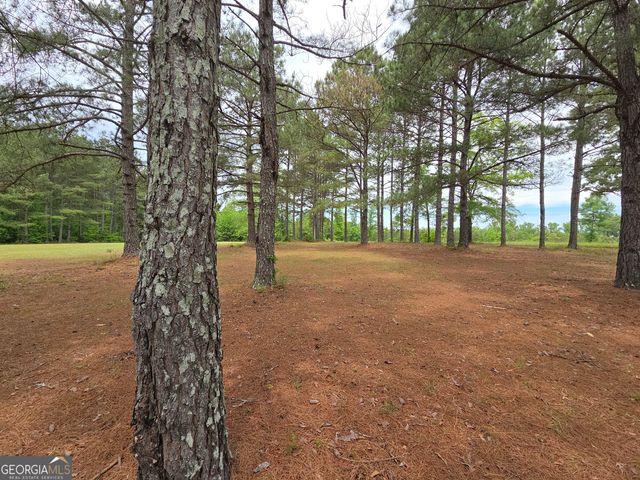 395 E Milner Road, Zebulon, GA 30295