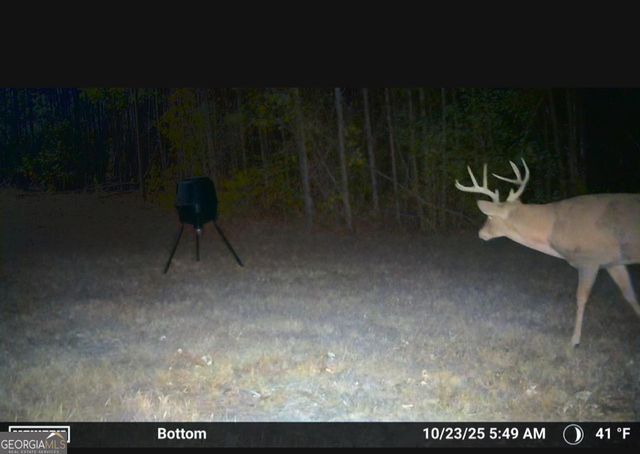 395 E Milner Road, Zebulon, GA 30295