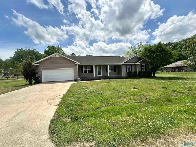 905 Vine Street, Glencoe, AL 35905