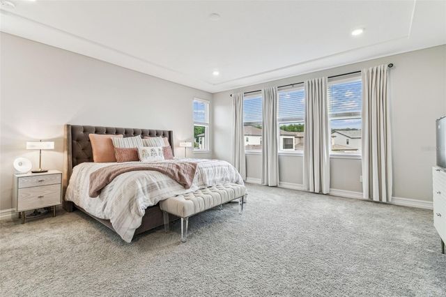 29895 PICANA LANE, Wesley Chapel, FL 33543