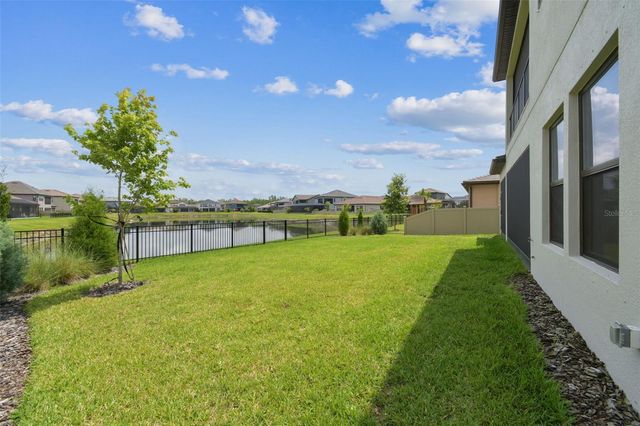 29895 PICANA LANE, Wesley Chapel, FL 33543