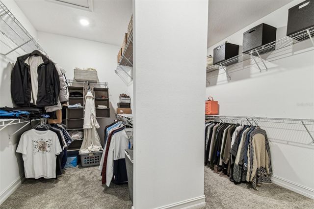 29895 PICANA LANE, Wesley Chapel, FL 33543