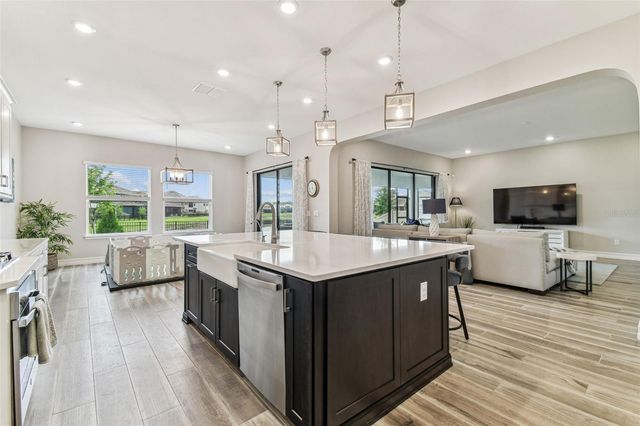 29895 PICANA LANE, Wesley Chapel, FL 33543