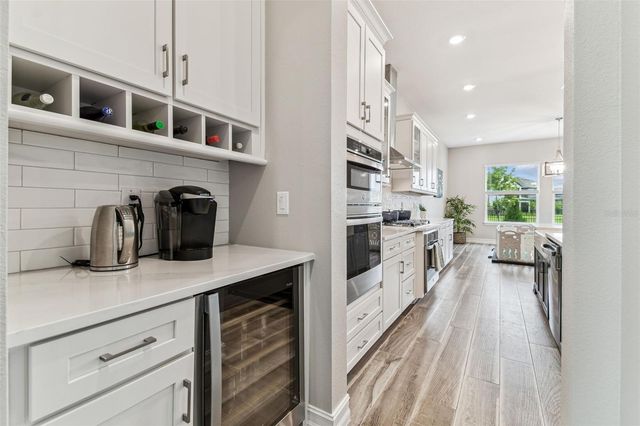 29895 PICANA LANE, Wesley Chapel, FL 33543