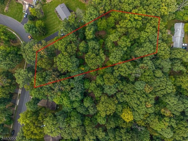 1003 Buxton Rd, Bridgewater Twp., NJ 08807