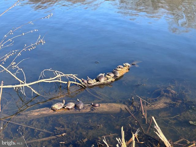 7263 DOCKSIDE LN, Columbia, MD 21045