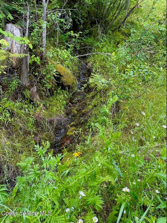 4456 W Side Rd, Bonners Ferry, ID 83805 photo 30