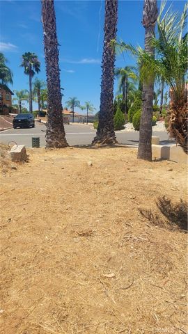 30450 Sparkle Drive, Canyon Lake, CA 92587