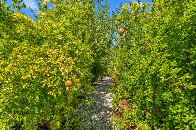 1721 Olive Heights Ct, Folsom, CA 95630