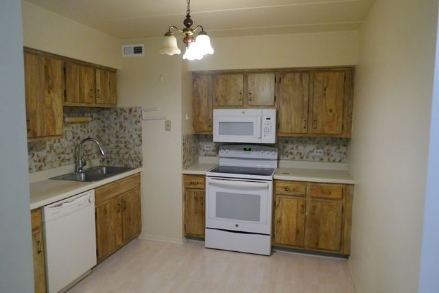 603 S River Road 2M, Des Plaines, IL 60016