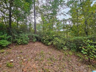 525 COUNTY ROAD 260, Clanton, AL 35046