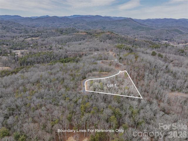 Tract 1 Turtle Ridge Trail, Mills River, NC 28759