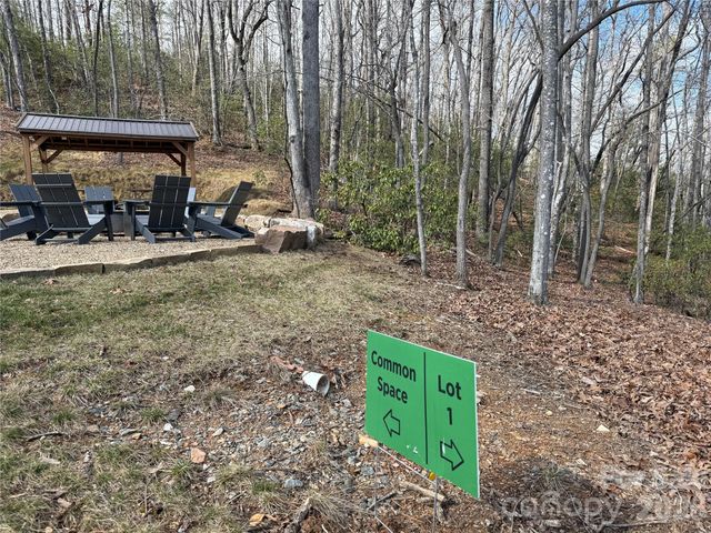 Tract 1 Turtle Ridge Trail, Mills River, NC 28759