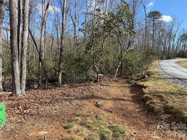 Tract 1 Turtle Ridge Trail, Mills River, NC 28759