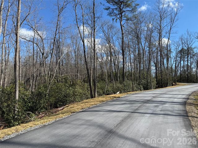 Tract 1 Turtle Ridge Trail, Mills River, NC 28759