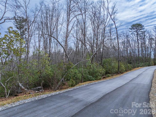 Tract 1 Turtle Ridge Trail, Mills River, NC 28759