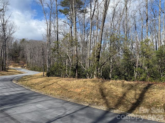 Tract 1 Turtle Ridge Trail, Mills River, NC 28759