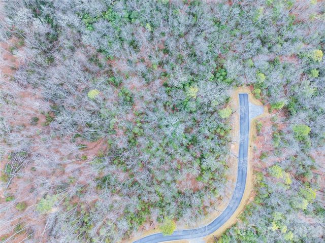 Tract 1 Turtle Ridge Trail, Mills River, NC 28759
