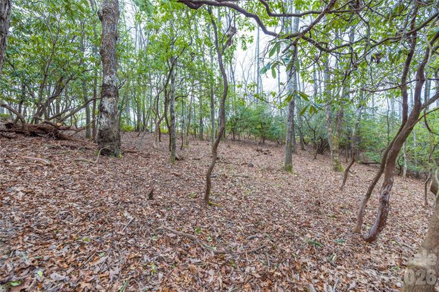 Tract 1 Turtle Ridge Trail, Mills River, NC 28759