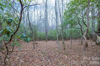 Tract 1 Turtle Ridge Trail, Mills River, NC 28759