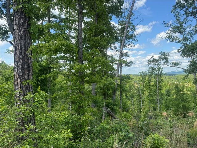 0000 NC 6401, Jasper, AR 72641