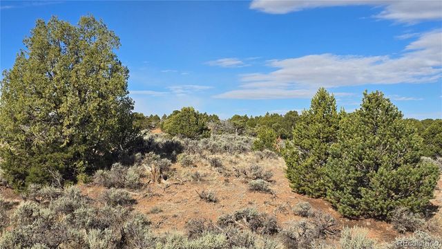 Lot 7340 Sweaney Road, Fort Garland, CO 81133