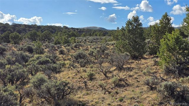 Lot 7340 Sweaney Road, Fort Garland, CO 81133