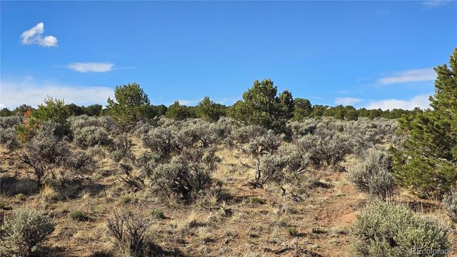 Lot 7340 Sweaney Road, Fort Garland, CO 81133