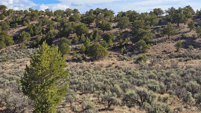 Lot 7340 Sweaney Road, Fort Garland, CO 81133