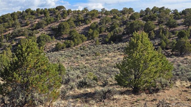 Lot 7340 Sweaney Road, Fort Garland, CO 81133