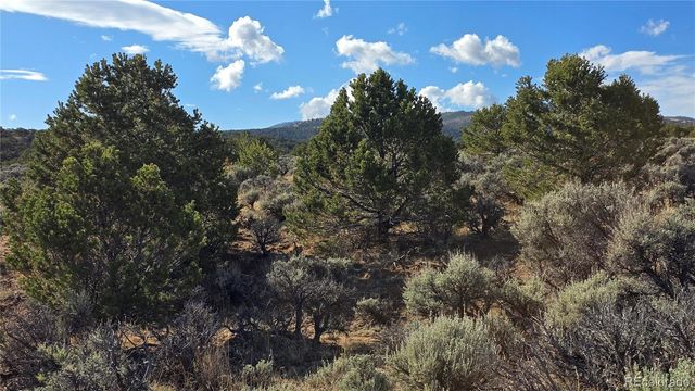 Lot 7340 Sweaney Road, Fort Garland, CO 81133