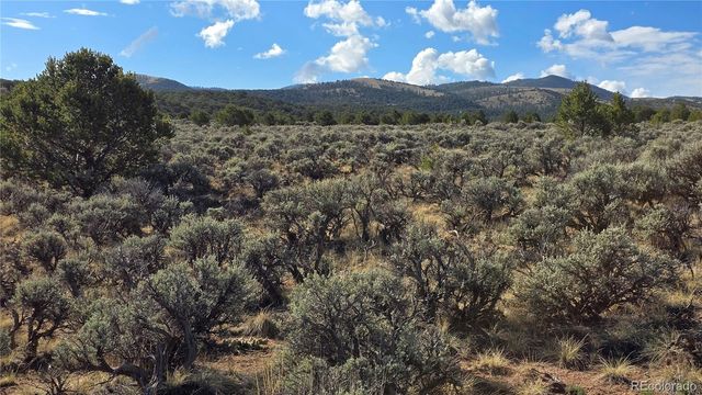 Lot 7340 Sweaney Road, Fort Garland, CO 81133