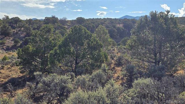 Lot 7340 Sweaney Road, Fort Garland, CO 81133