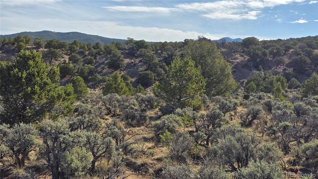 Lot 7340 Sweaney Road, Fort Garland, CO 81133