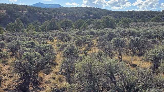 Lot 7340 Sweaney Road, Fort Garland, CO 81133