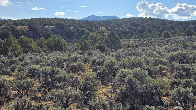 Lot 7340 Sweaney Road, Fort Garland, CO 81133