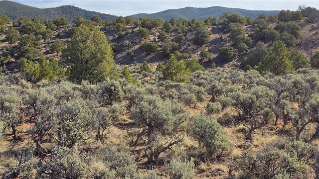 Lot 7340 Sweaney Road, Fort Garland, CO 81133