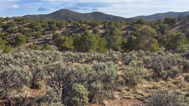 Lot 7340 Sweaney Road, Fort Garland, CO 81133